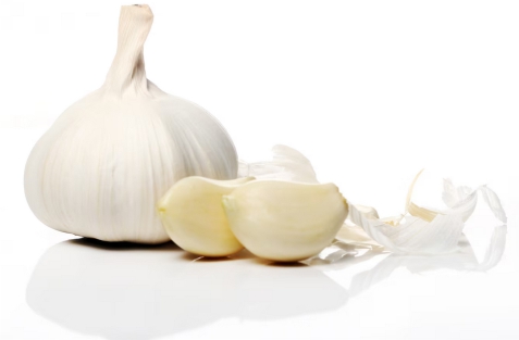 Garlic