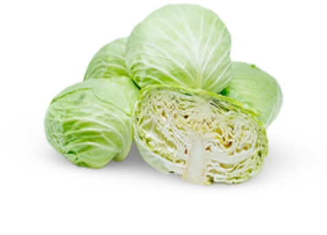 Cabbage